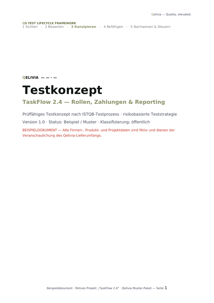 Testkonzept (Muster), Vorschau